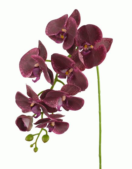 RT 8H Orchid 96cm