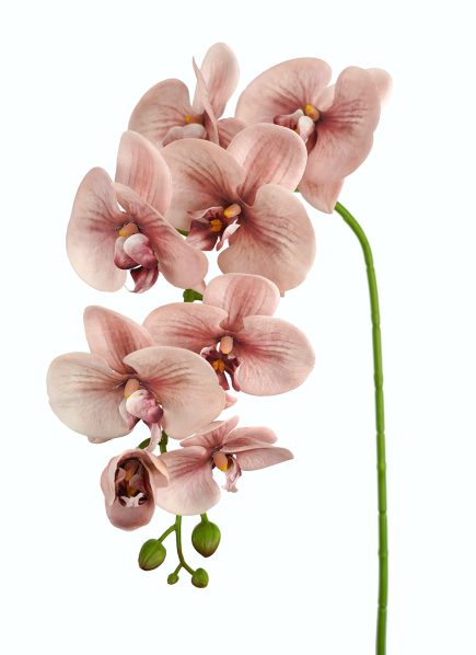 RT 8H Orchid 96cm