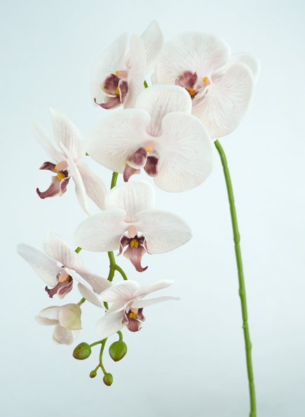 RT 8H Orchid 96cm