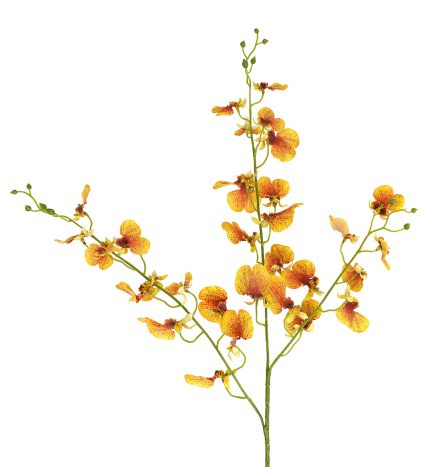 RT Dancing Orchid 94cm