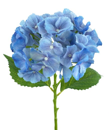 RT Hydrangea Stem 49cm