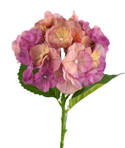 RT Hydrangea Stem 49cm