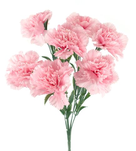Carnation Bush 42cm