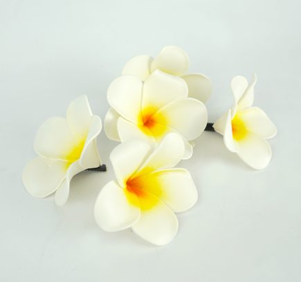 Frangipany Clips Pack of 100