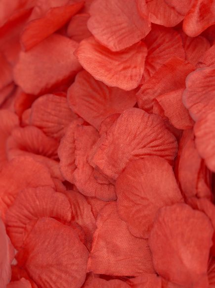Rose Petals 300pcs