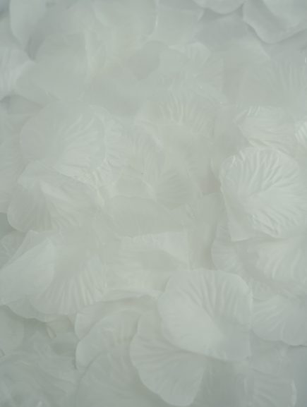 Rose Petals 300pcs