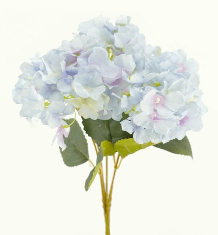 5H Hydrangea Bush 45cm
