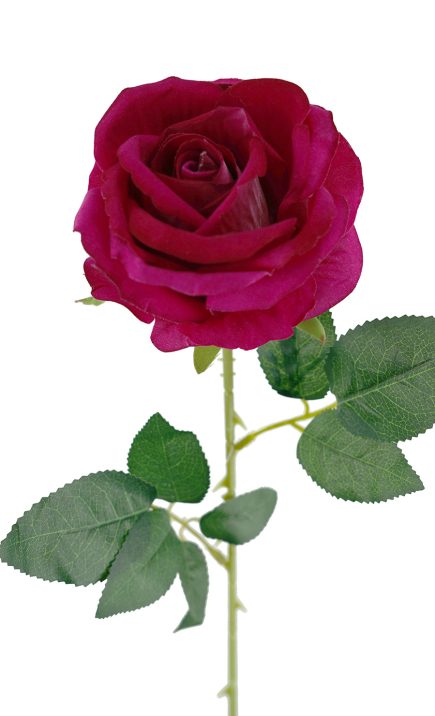 Monty Velvet Rose Stem 53cm