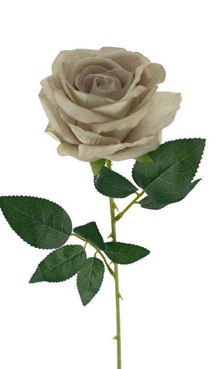 Monty Velvet Rose Stem 53cm