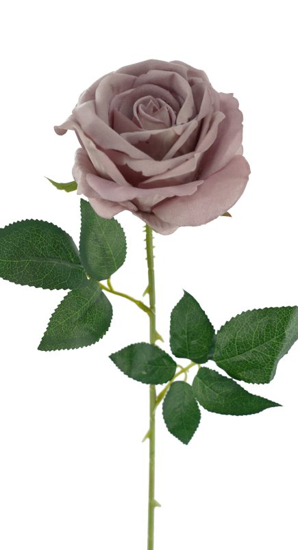Monty Velvet Rose Stem 53cm