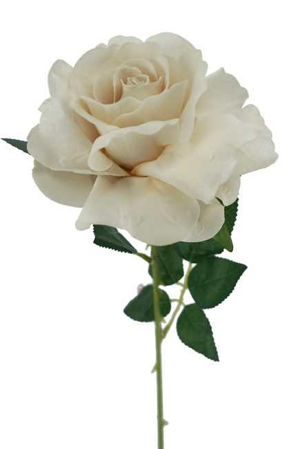 Lady Velvet Rose Stem 54cm