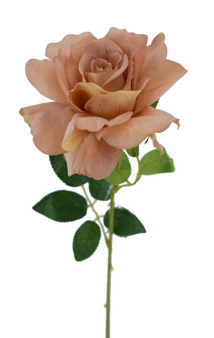 Lady Velvet Rose Stem 54cm