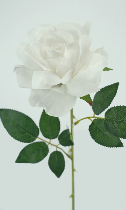 Lady Velvet Rose Stem 54cm