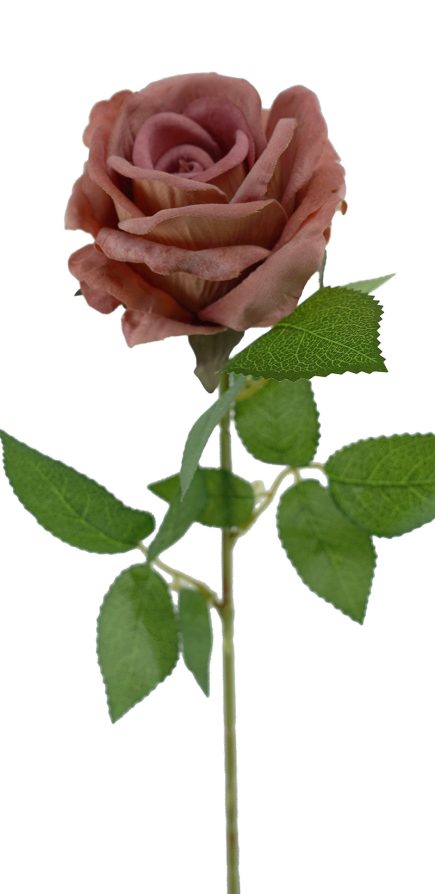 Mister Velvet Rose Stem 77cm