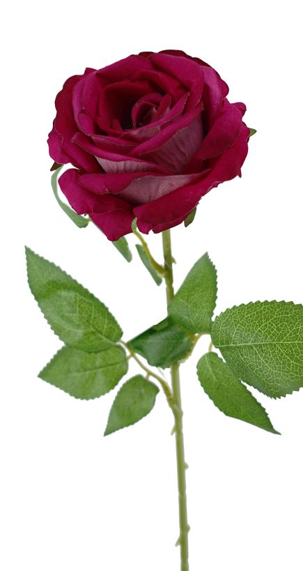 Mister Velvet Rose Stem 77cm