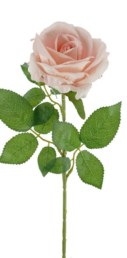 Mister Velvet Rose Stem 77cm