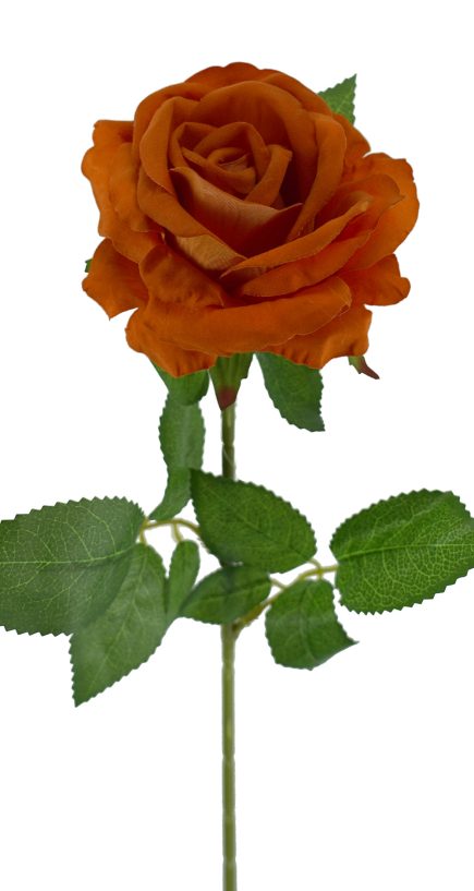 Mister Velvet Rose Stem 77cm