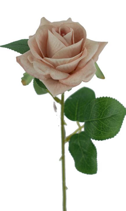 Heart Velvet Rose Stem 50cm