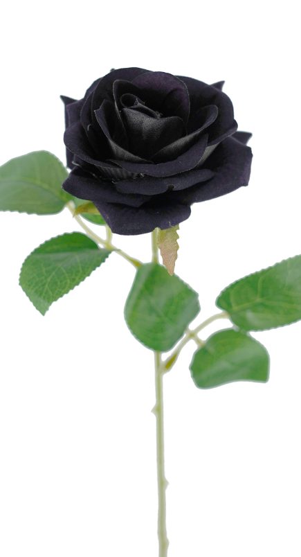 Heart Velvet Rose Stem 50cm
