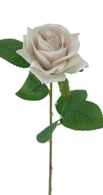 Heart Velvet Rose Stem 50cm