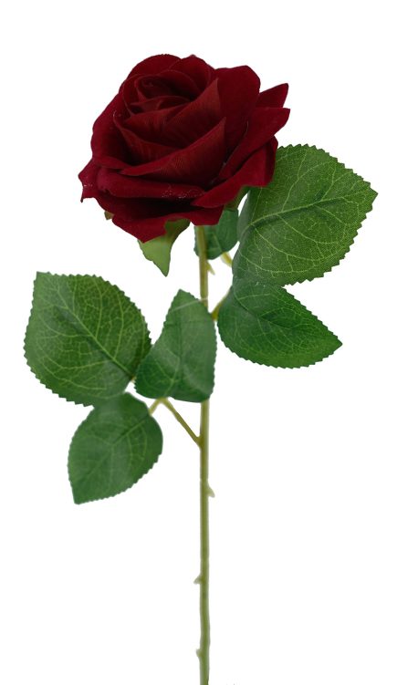 Heart Velvet Rose Stem 50cm