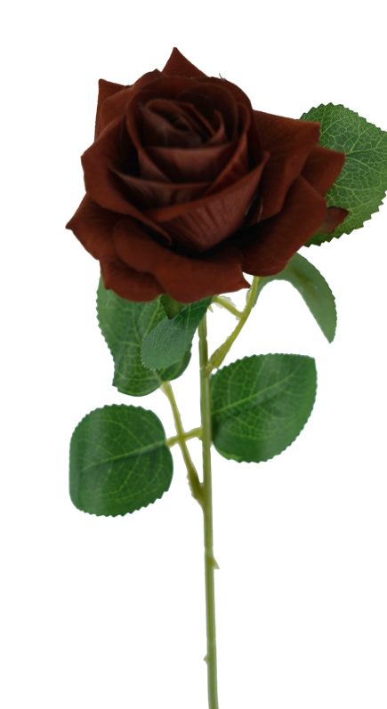 Heart Velvet Rose Stem 50cm
