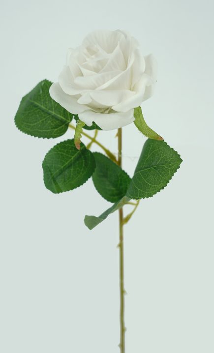 Heart Velvet Rose Stem 50cm