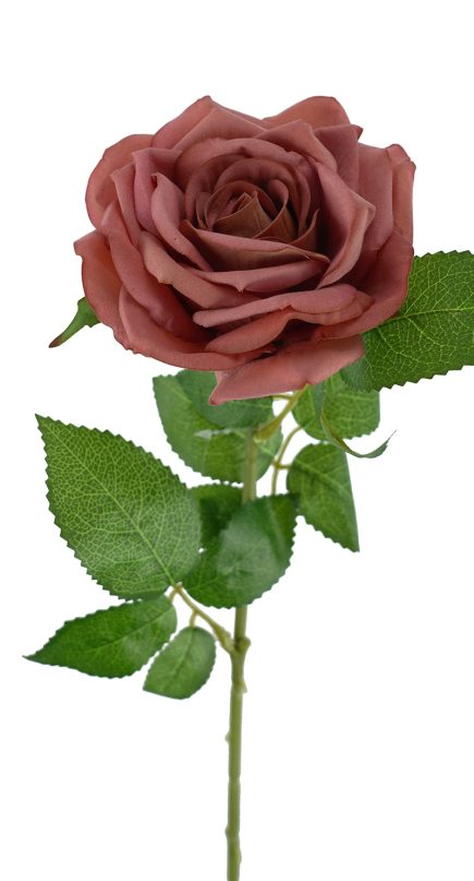 Berverly Velvet Rose stem 77cm