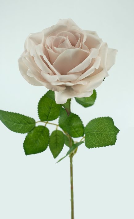 Berverly Velvet Rose stem 77cm