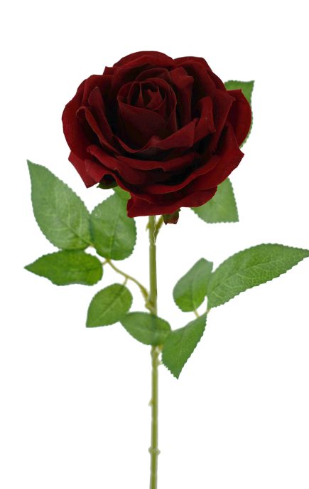 Berverly Velvet Rose stem 77cm
