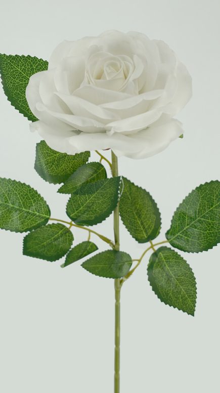 Berverly Velvet Rose stem 77cm