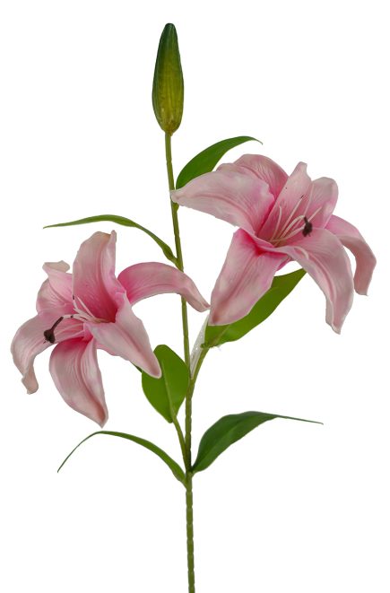 2H Lily Spray 69cm