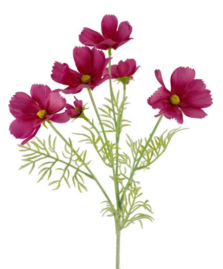 Cosmos Spray 61cm