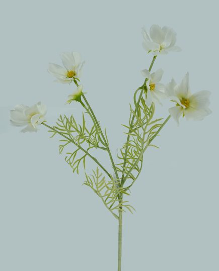 Cosmos Spray 61cm