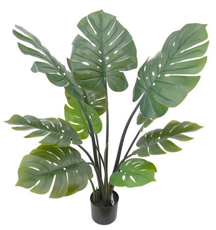 Potted Monstera 120cm