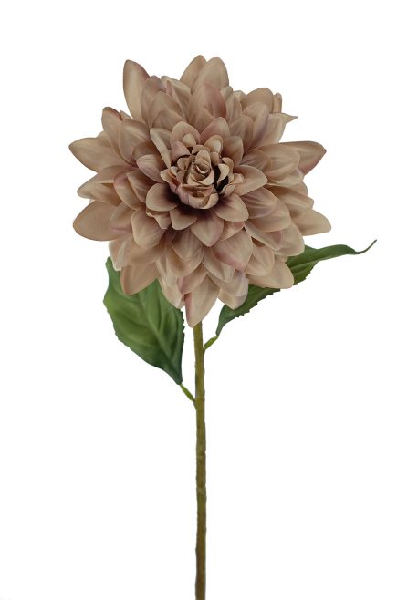 Dahlia Stem 68CM