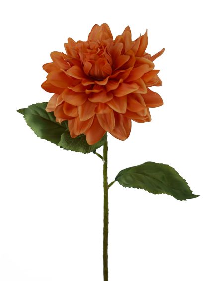 Dahlia Stem 68CM