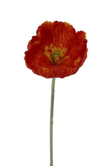Poppy Stem 58cm