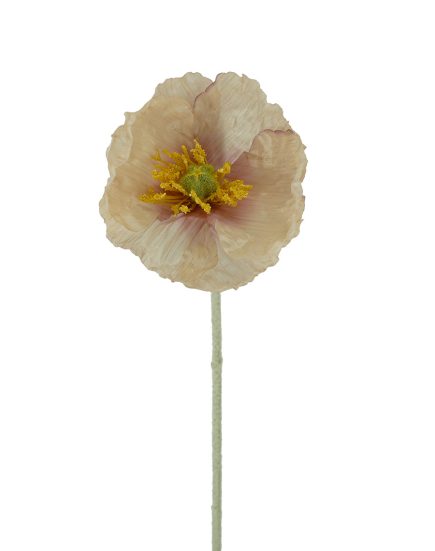 Poppy Stem 58cm