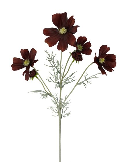 Cosmos Spray 60cm