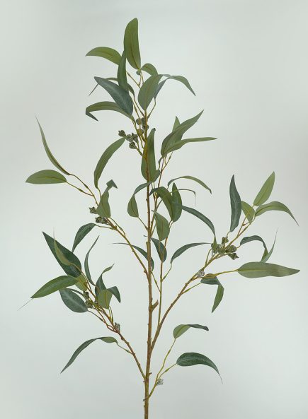 Gumnut Spray w/B 121cm