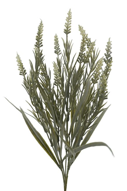 Dried Lavender 42cm