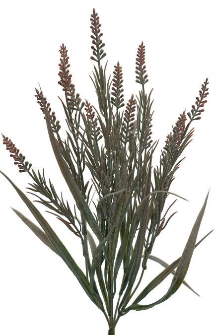 Dried Lavender 42cm