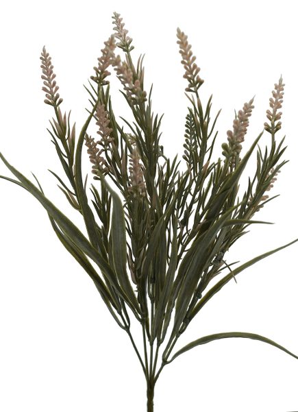 Dried Lavender 42cm