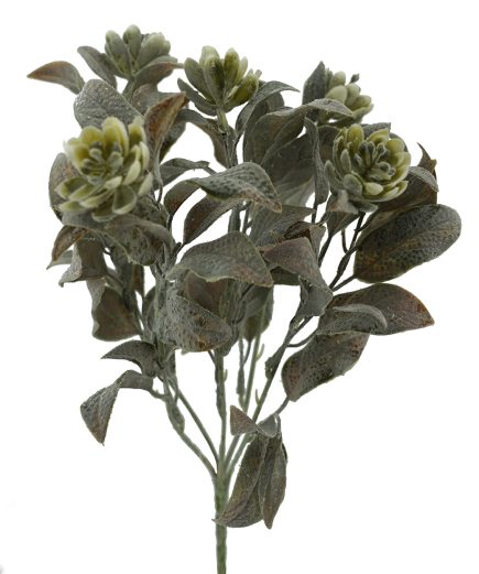 Succulent Bush 32cm