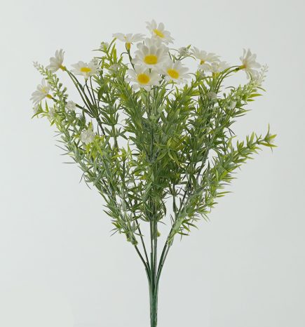 Daisy Bush 35cm