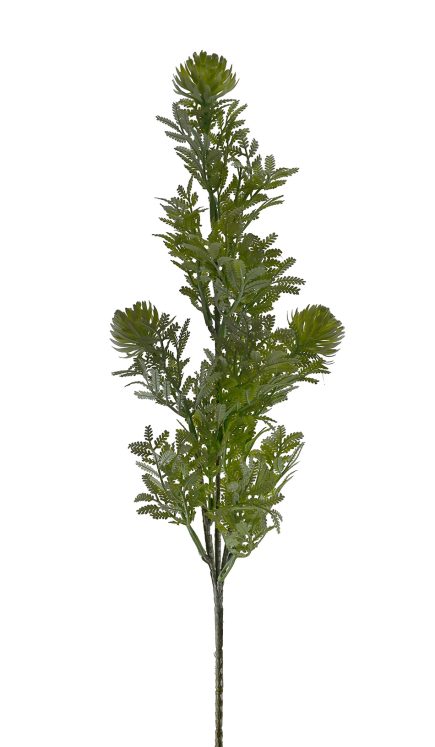 Succulent Spray 63cm