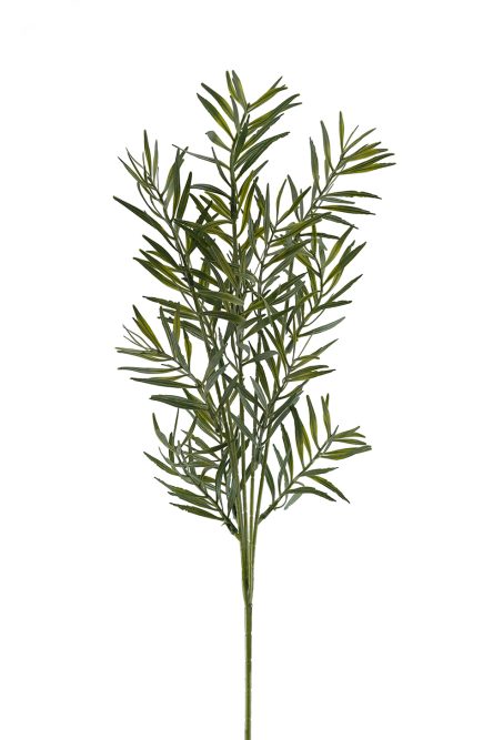 Acacia Spray 68cm