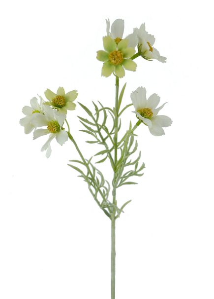 Sky Cosmos Spray 47cm