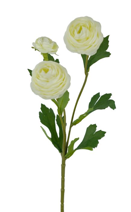 Ranunculus Spray 42cm